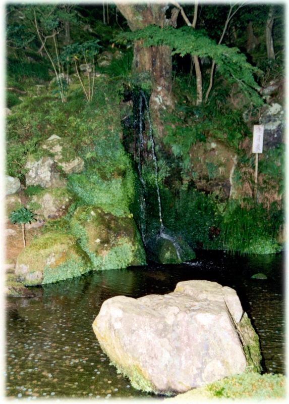 Garden 11, Kyoto Japan.jpg